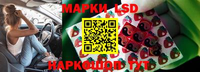 гидра Лесосибирск
