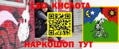 сатива Малгобек