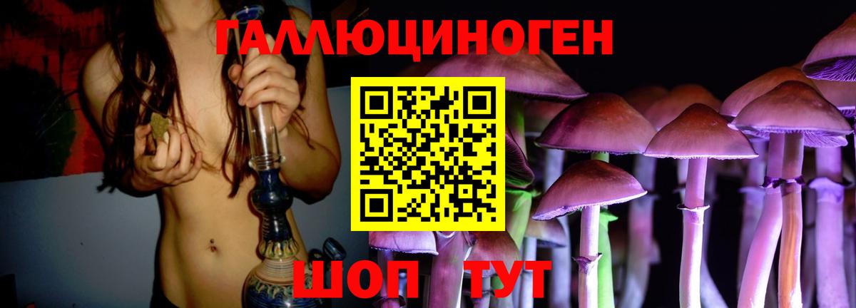 Псилоцибиновые грибы Cubensis  Вход с VPN  Городец 