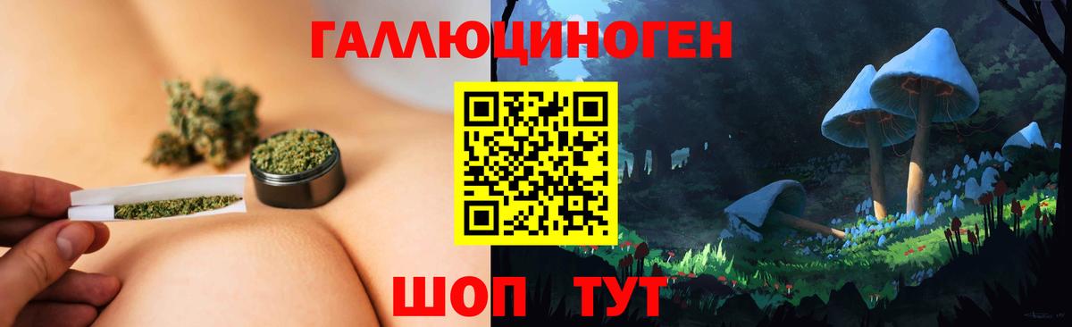 Псилоцибиновые грибы Psilocybine cubensis Городец
